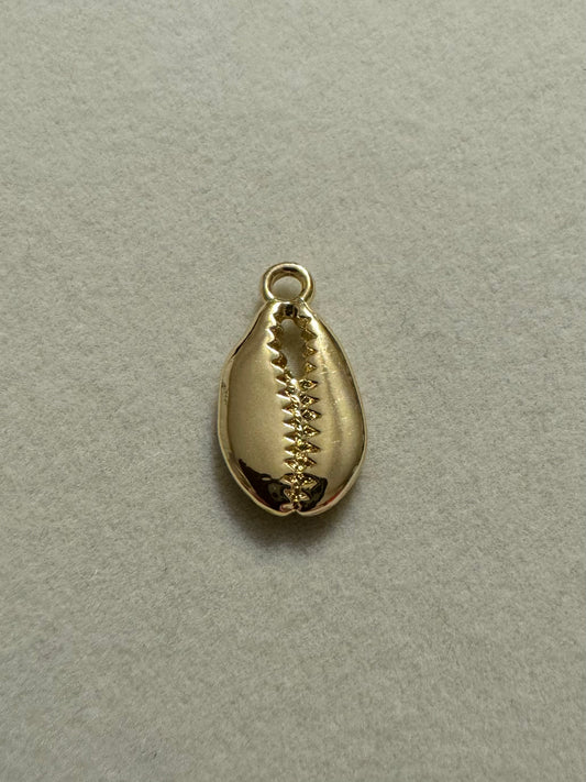 Gold Coffee Bean Trivia Shell (14k Gold Plated)