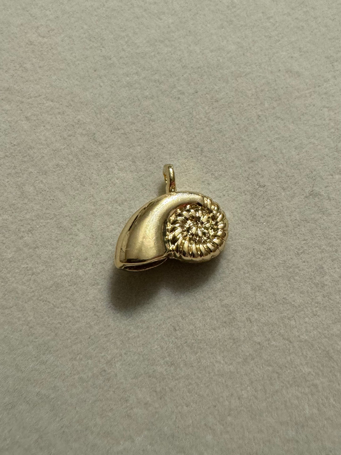 Gold Shark Eye Shell (14k Gold Plated)